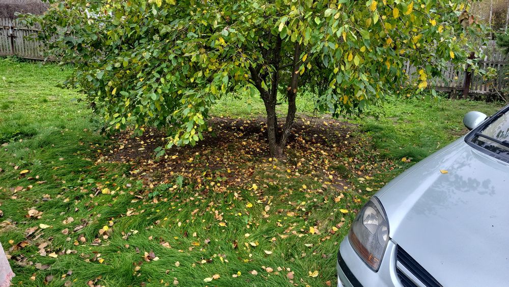 Продам или обменяю на автомобиль