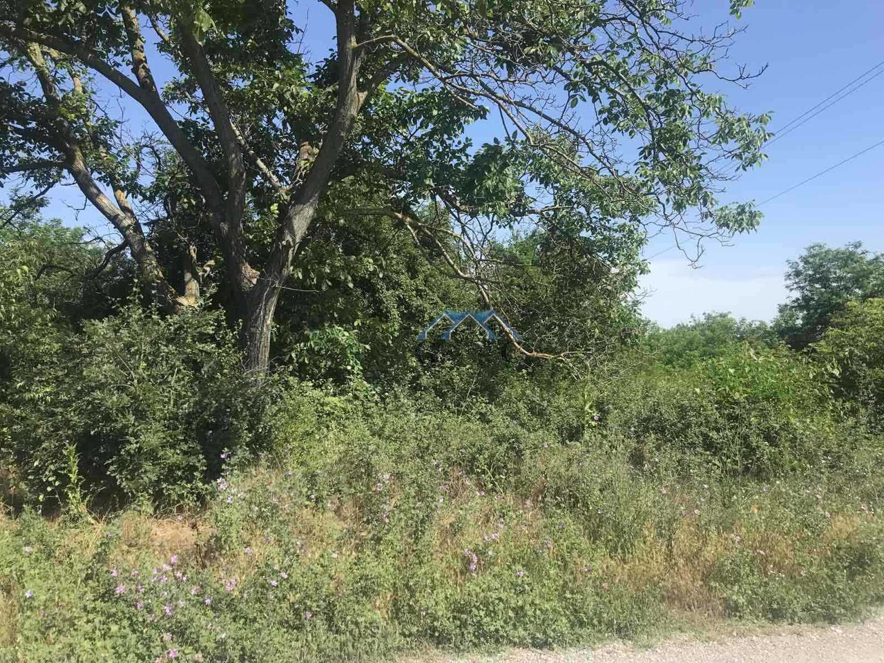 Продава се Парцел в с. Приселци, Област Варна - 2491 кв.м за 22 €/кв.м - Снимка #2