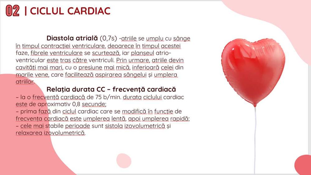 Arhitectul Ideilor – Proiecte pentru Oameni, Cu Impact Real