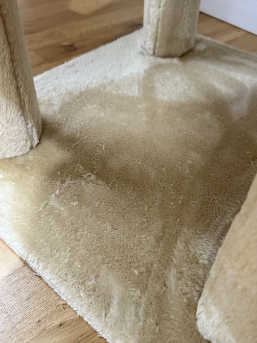 Vand ansamblu pisici dimensiune mare