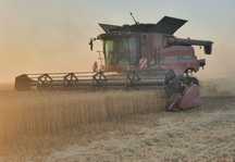 Combina Case ih 8230/9230 ,an 2014, heder 9,3m