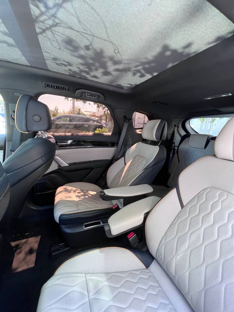BYD tank Dual mator