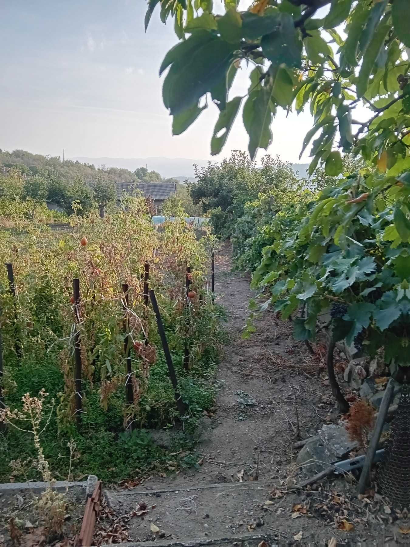 Селска къща в село Славовица, Пазарджишко