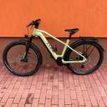 Cube Hybrid Reaction EXC 750Wh, cadru: XL