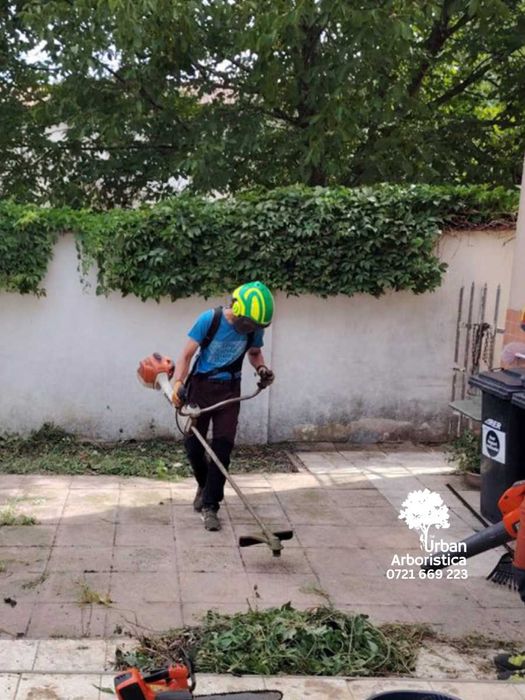 Defrișare Teren Cosit Curățat Livada Gradina - Tuns Gard Viu Timișoara