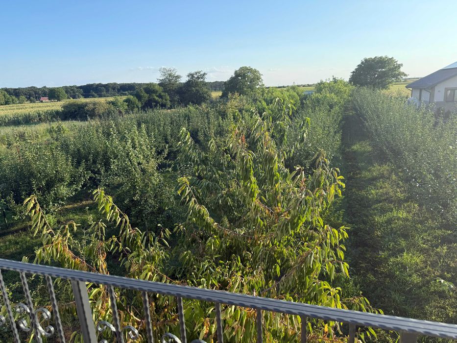 De vanzare Casa din Livada - Moara Vlasiei