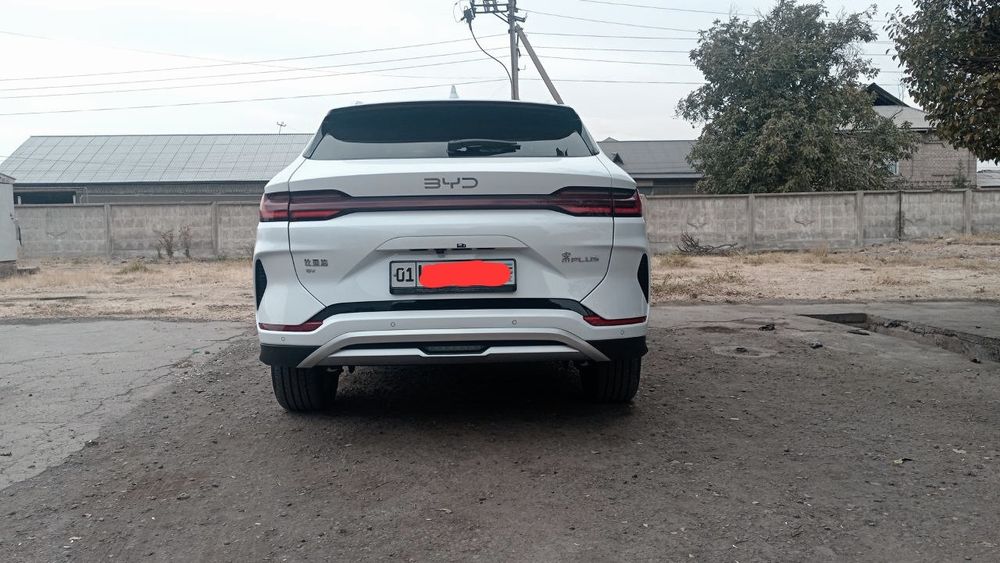 Продаю BYD Champion restyle 2024/25