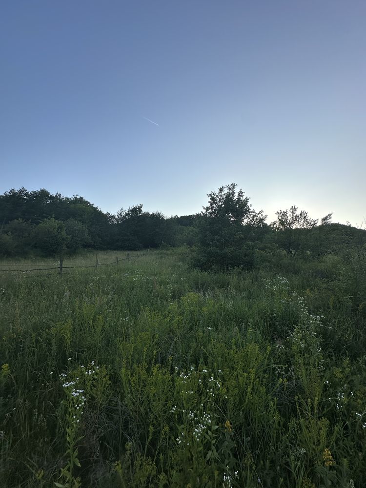 Teren de vanzare 2800 mp Valea Bradului Mihaesti