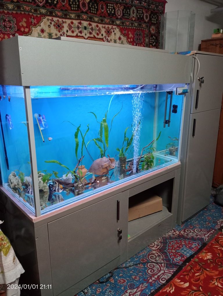 Продается аквариум 500 лт.
