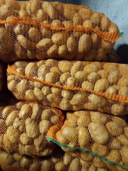 Vand cartofi consum rosu si alb