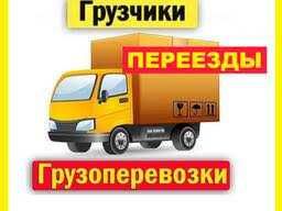 В Сергели организуем грузоперевозки с грузчиками по доступным ценам.