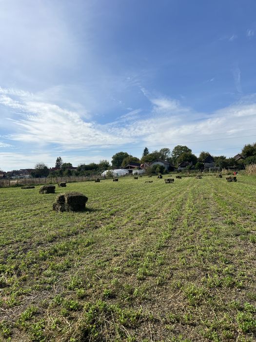 Baloti patrati de lucerna
