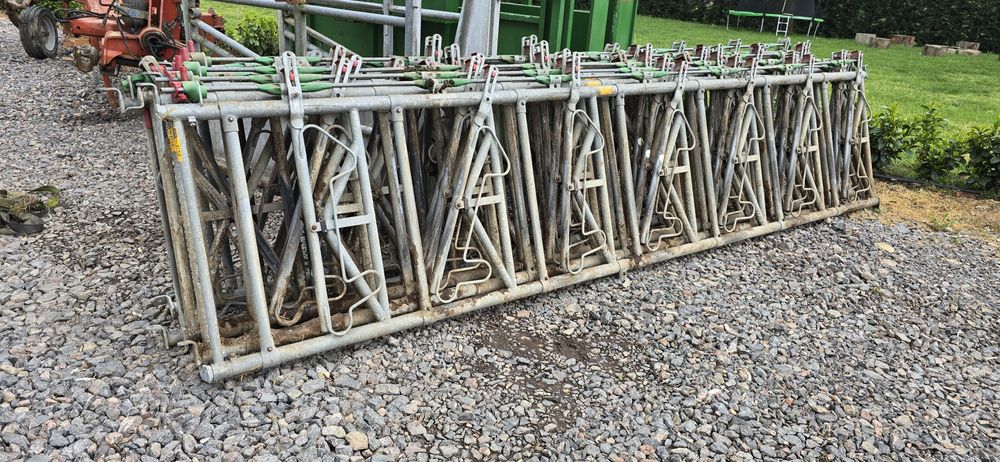 Front de furajare cu autocaptura pentru vaci vite angus limousine