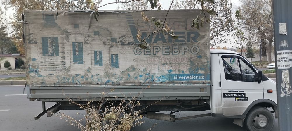 Gazel sirochni sotiladi pul zarur