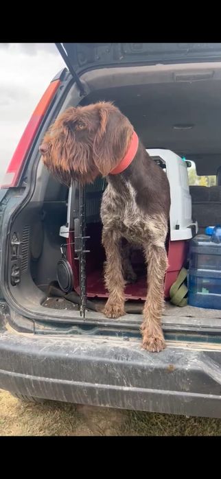 Дратхар Дратхаар