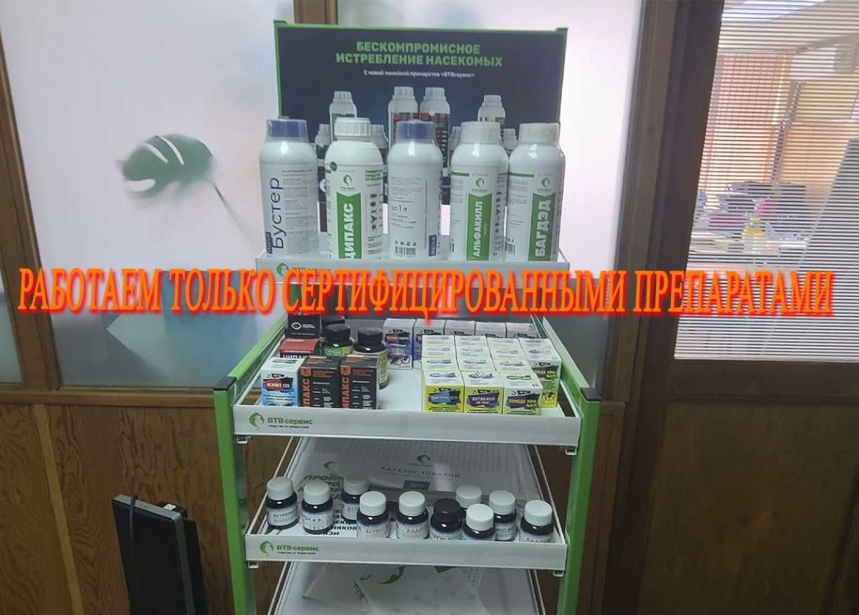 Dezinfeksiya Дезинфекция tarakan klop klapa burga chivin pashsha клоп