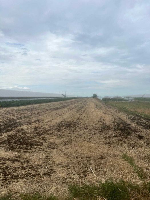 Vand teren in Scarisoara, Olt.