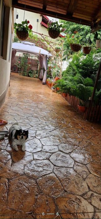 Lac protector Impermeabilizant  beton amprentat