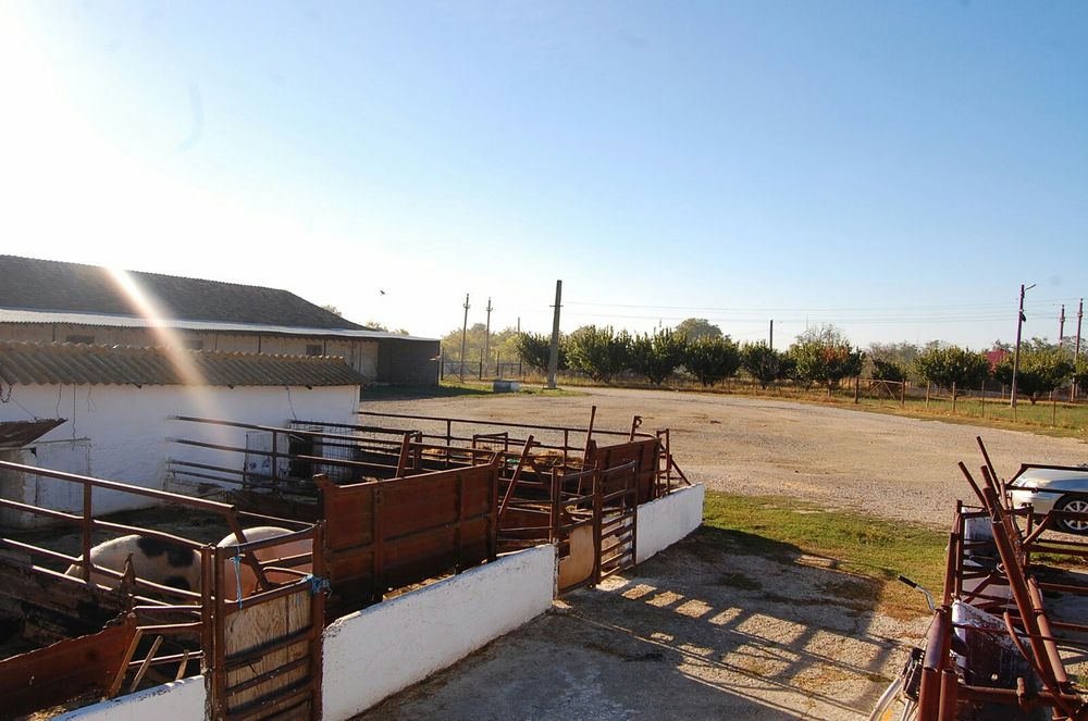 Proprietar vand-inchiriez
