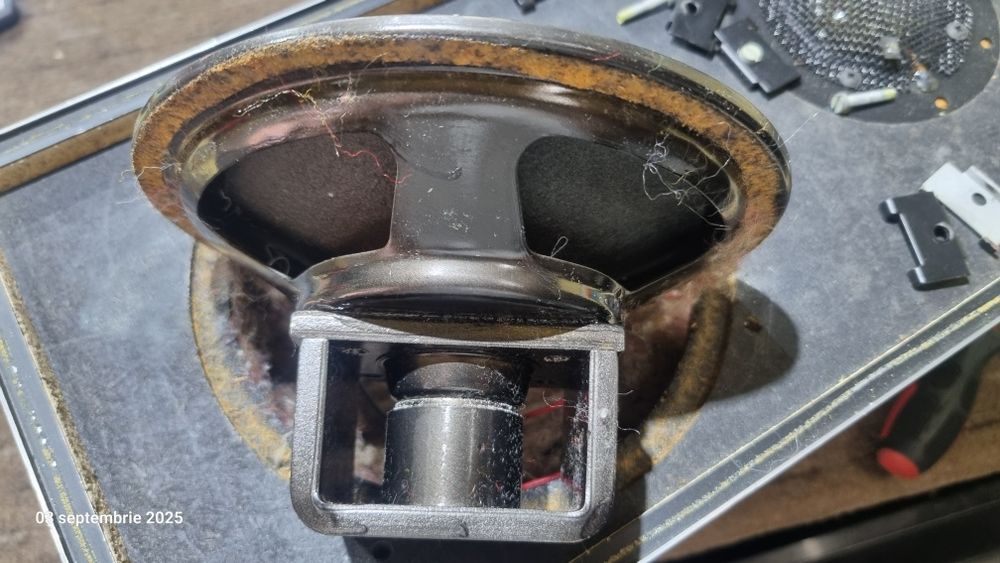 Boxe vintage 2 căi Bang&Olufsen, full alnico , celebra înaltă Seas