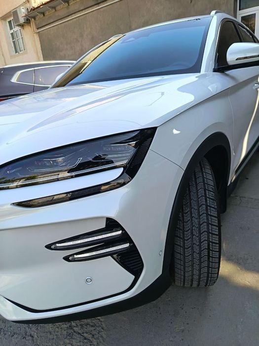 BYD chempion 605 tali