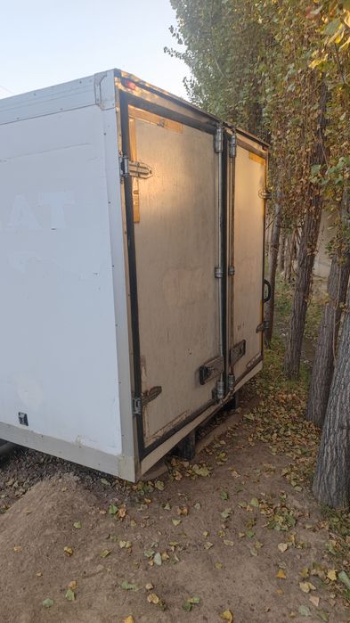 Gazel borti but butun