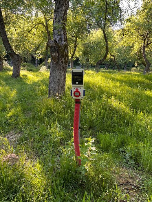 Vand livada cu meri fructiferi - Căsoaia - Araneag - Arad