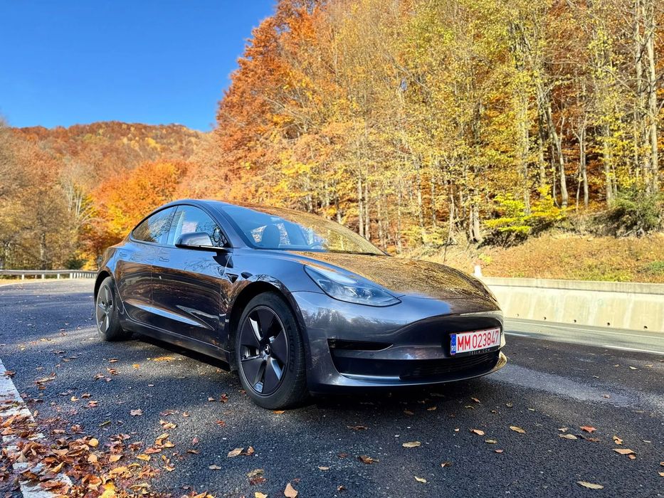Tesla Model 3 Primul proprietar