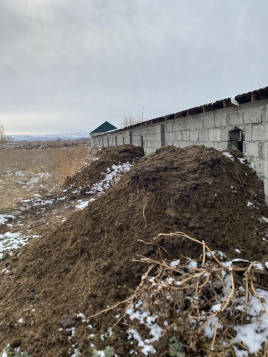 Навоз конский для удобрения