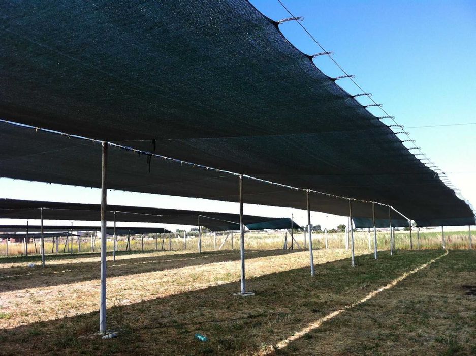 Plasa umbrire solar verde 40% latimi 4-10m