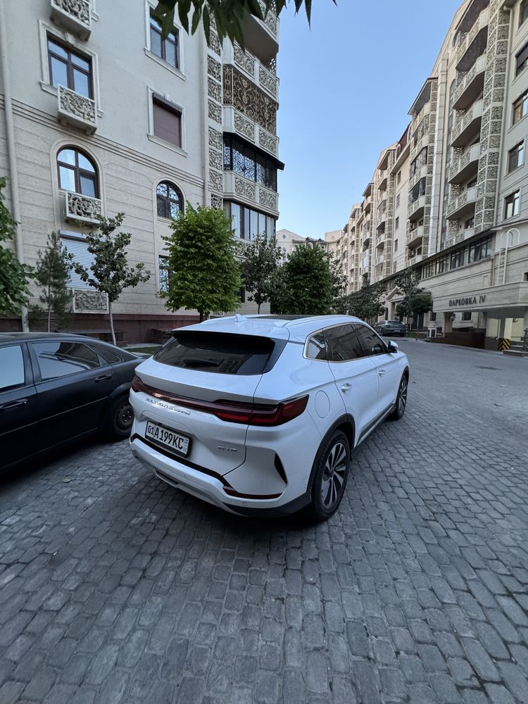 Byd son chempion full