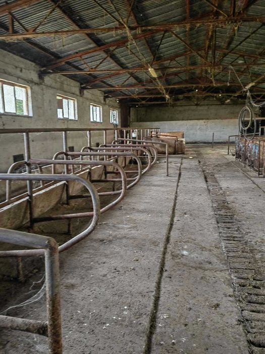 Продава се Парцел в Свищов - 540 кв.м за 104 €/кв.м - Снимка #1