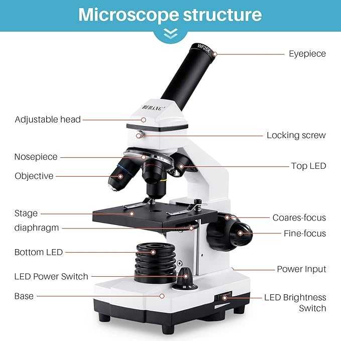 Microscop BEBANG 100X-2000X pentru copii și adulți