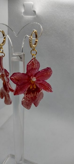 Обеци с естествен цвят на мини орхидея Miltonia.  Цветче с размери 5/4