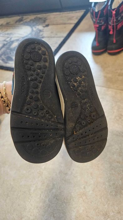 Vand lot incaltaminte baieti pantofi GEOX+ pantofi US POLO marimea  26