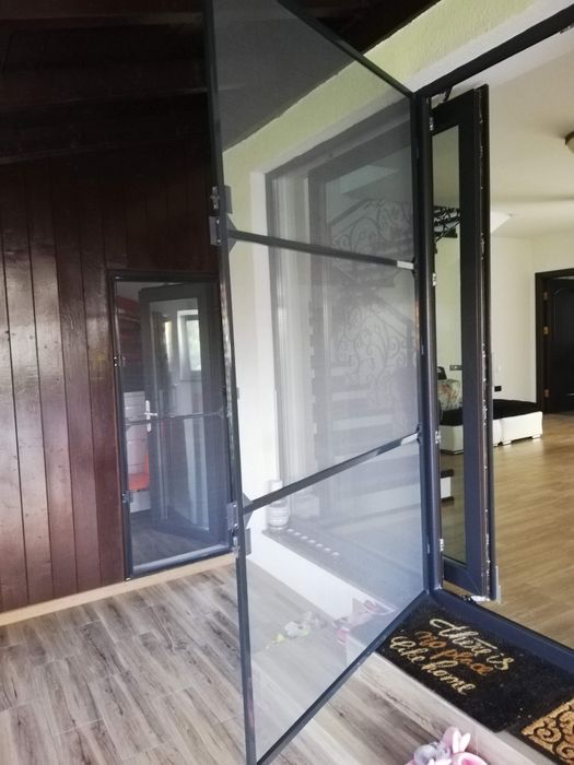 Plase țânțari (insecte)