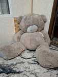 Teddy  ayiq yangi