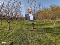 Slatina-Nera, 1445Mp. Teren Drept la Sosea, langa Raul Nera