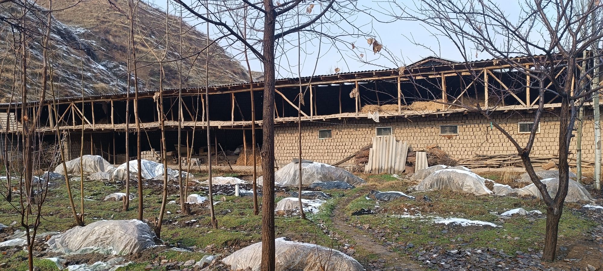 Uchastka sotladi