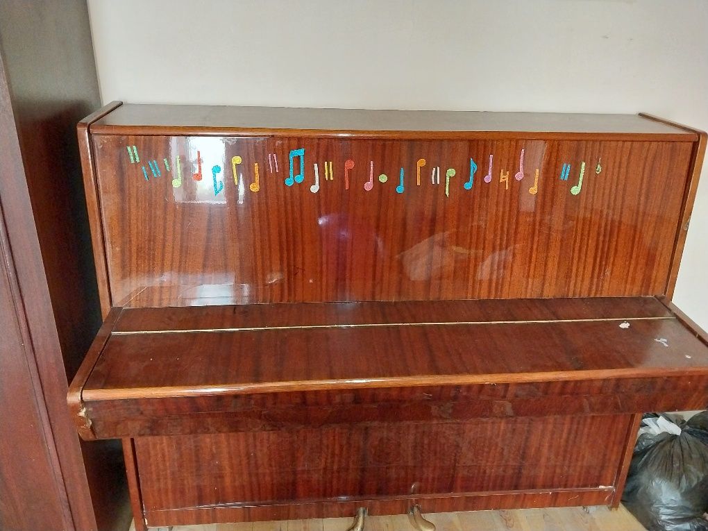 Lastochka pianino sotiladi.