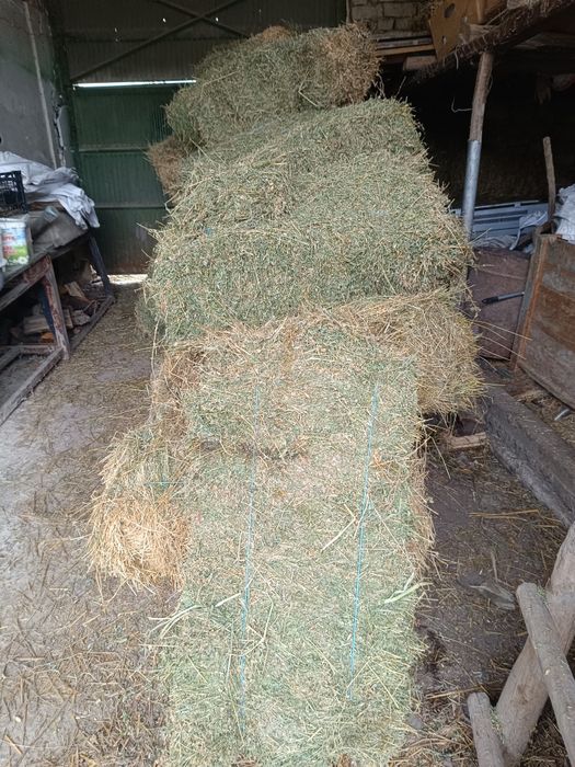 Продавам малки бали люцерна супер качество