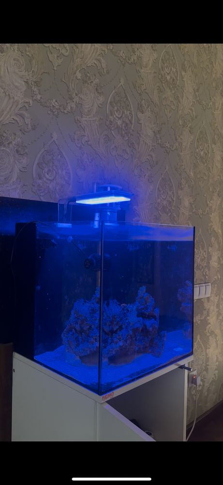 Marskoy Akvarium 70litr
