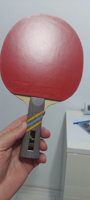 Paleta tenis de masa=Dhs Hurricane 8 + Donic Bluestorm Pro