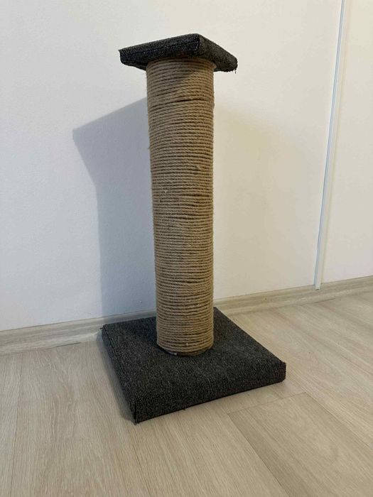 Драскала за котка