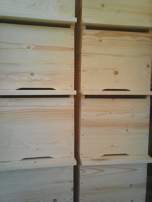 Stupi pe 10 rame  ,180 lei