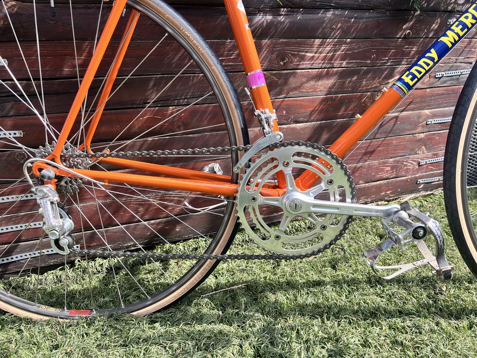 Cursiera Eddy Merckx Molteni Tribute ~1976