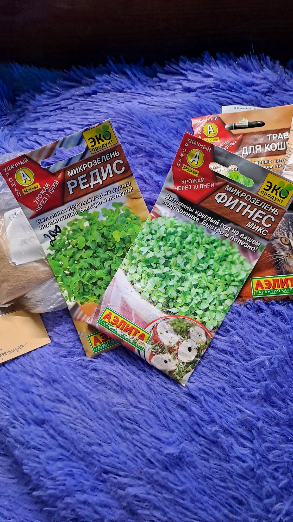 продам семена микрозелени