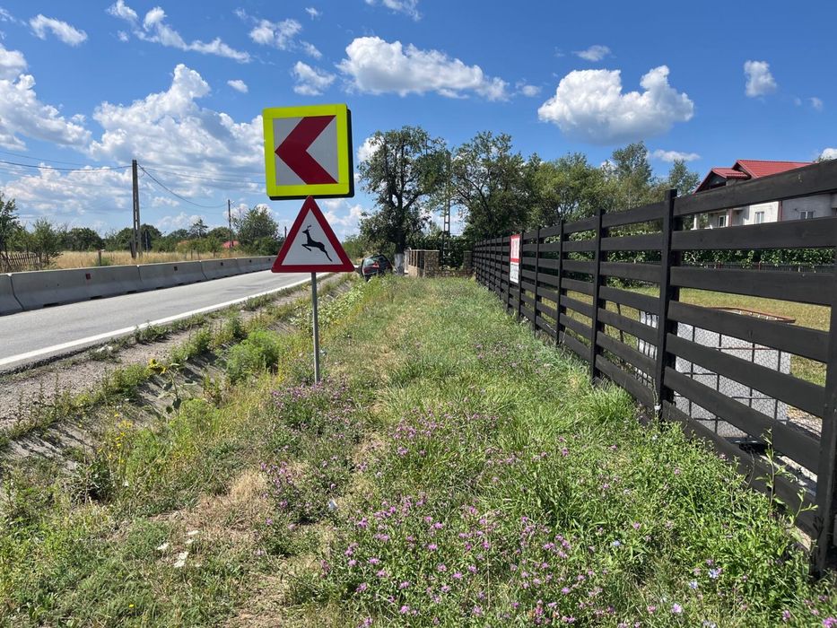 Teren 2000 mp pe Sos Nationala DN7 Pitesti -Valcea