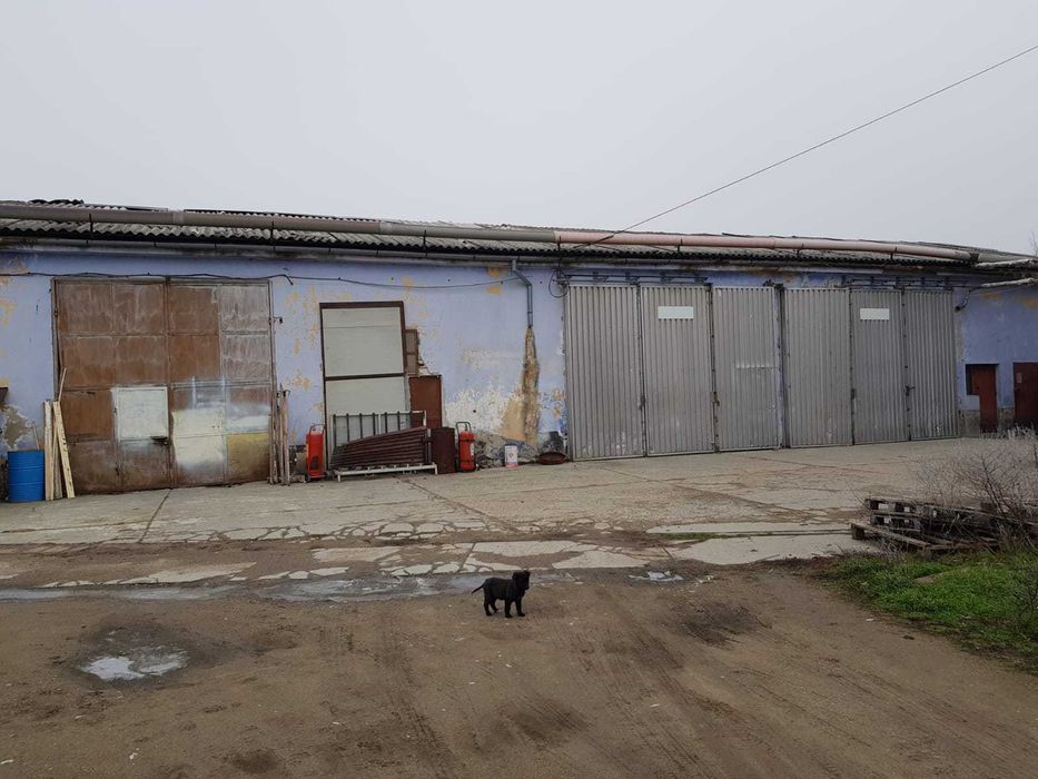 vand hala Berzovia, jud Caras Severin