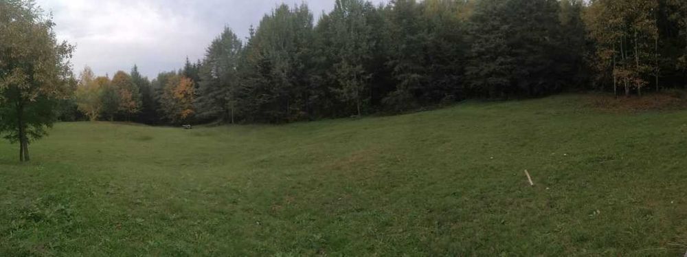 Teren Runcu (Brebu) Dambovita